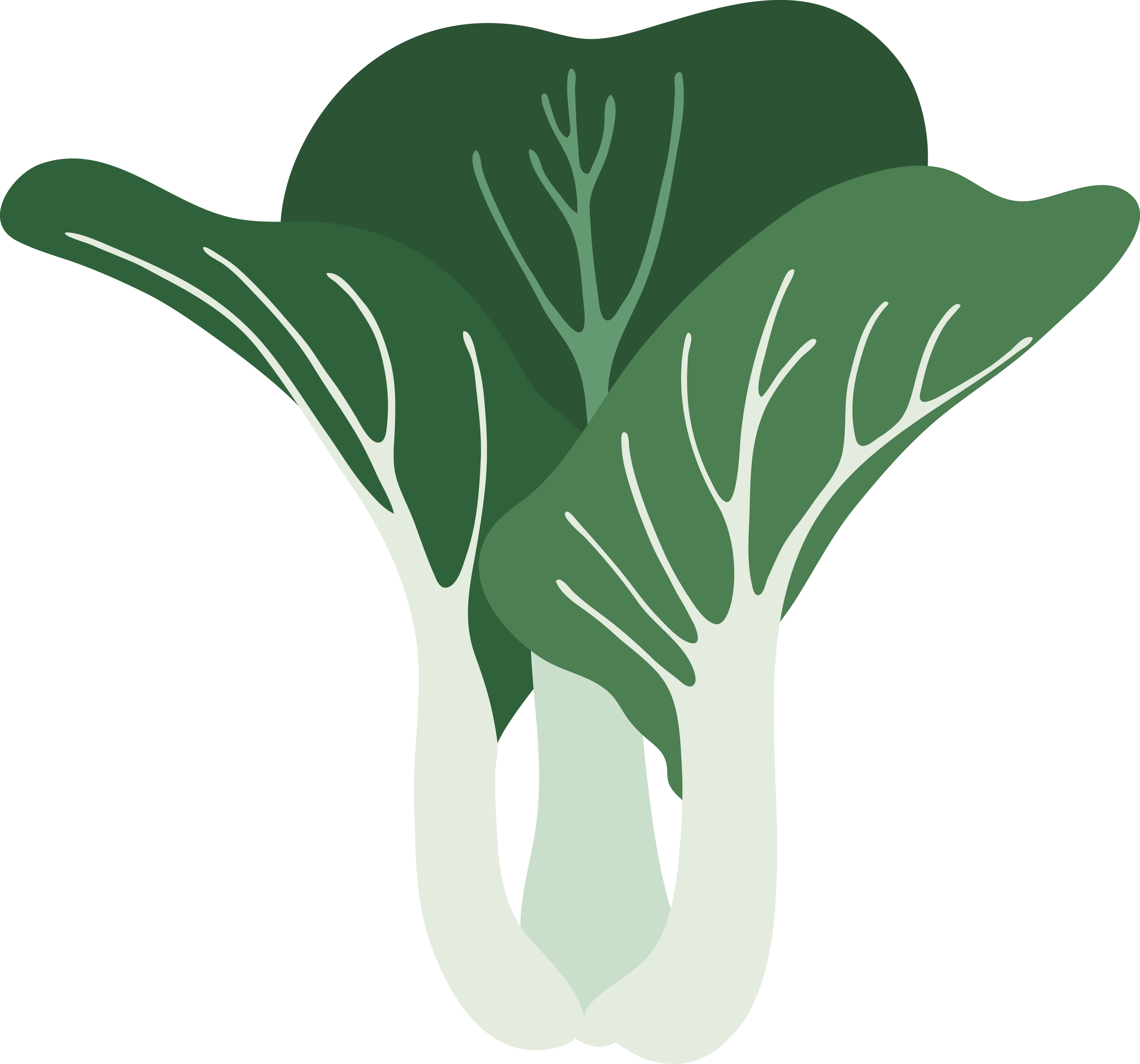 Pakchoi icon