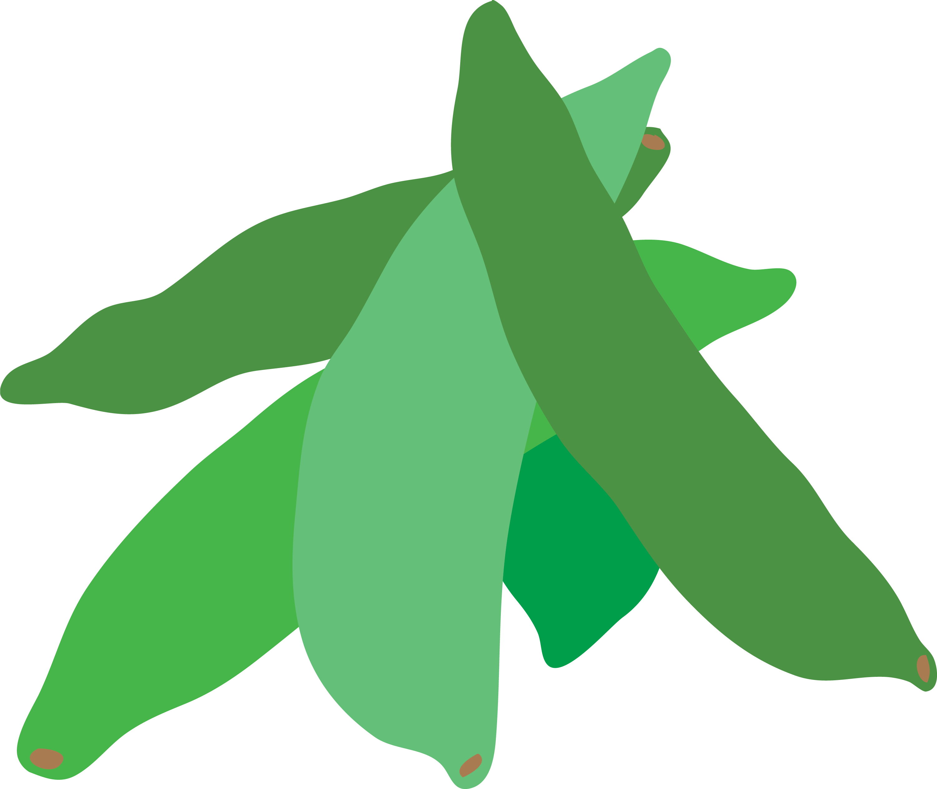 Sugar Snap Peas icon