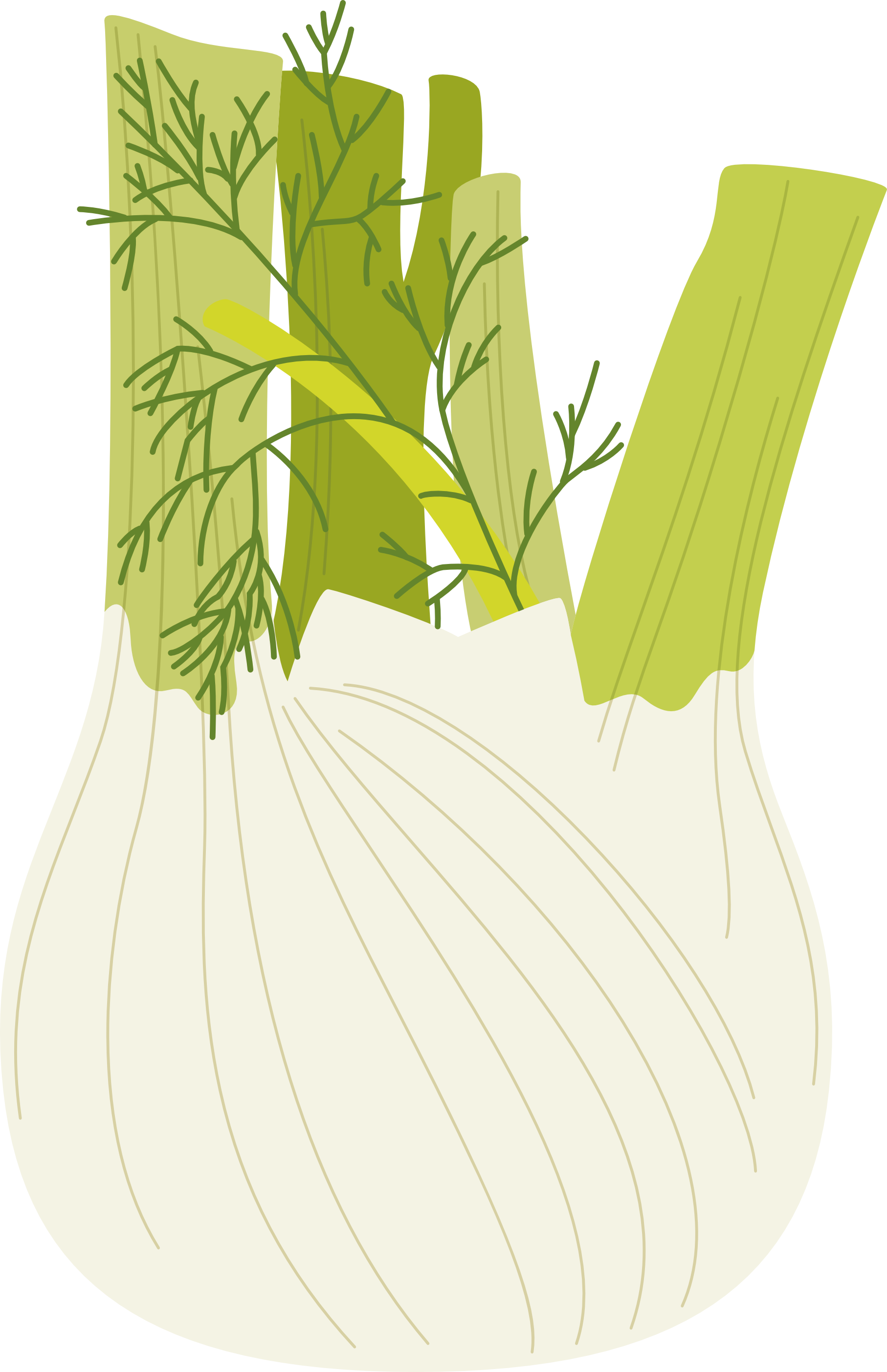 fennel icon