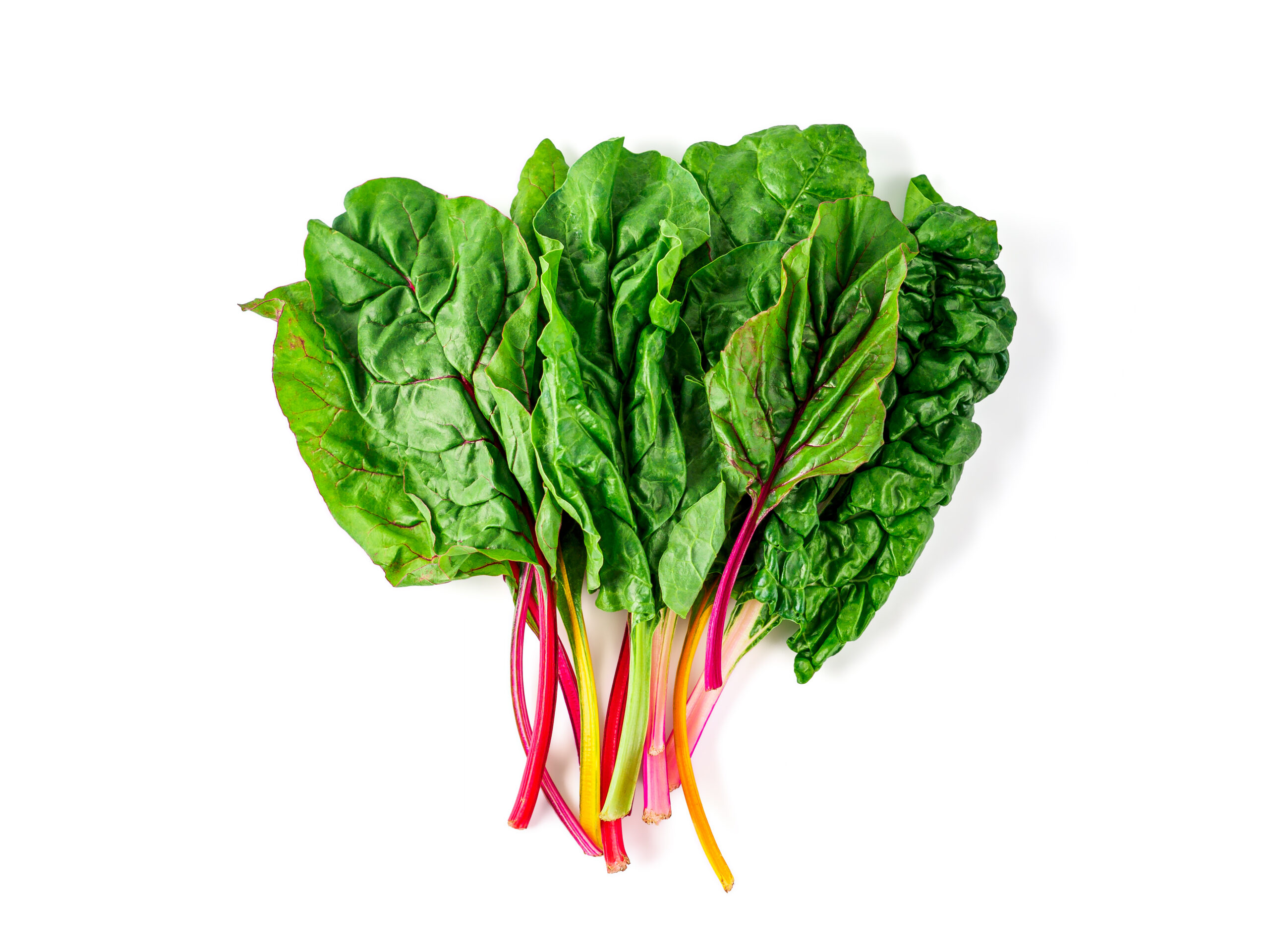 Chard