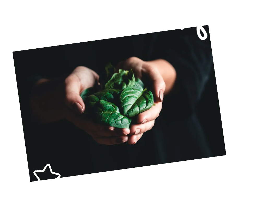 TipBlock-portionofveg2