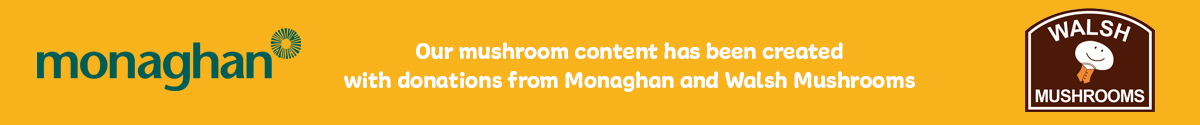 mushrooms-spons-dt2