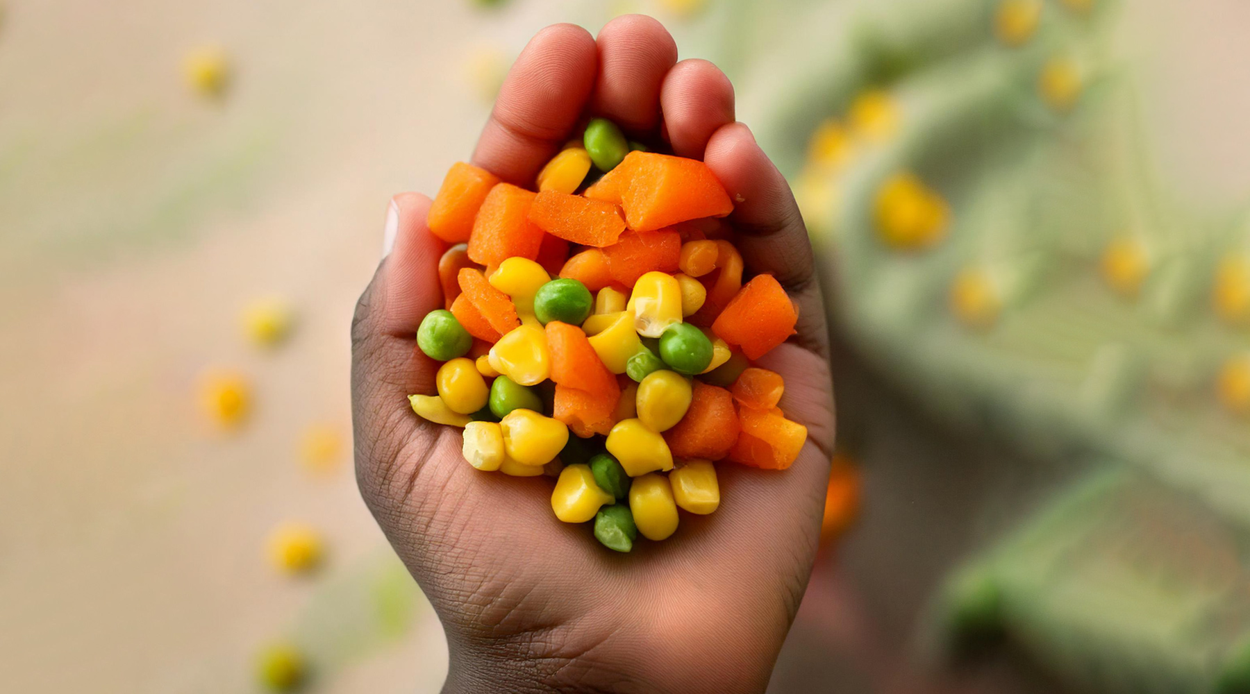 veg-plate-portion-hero3