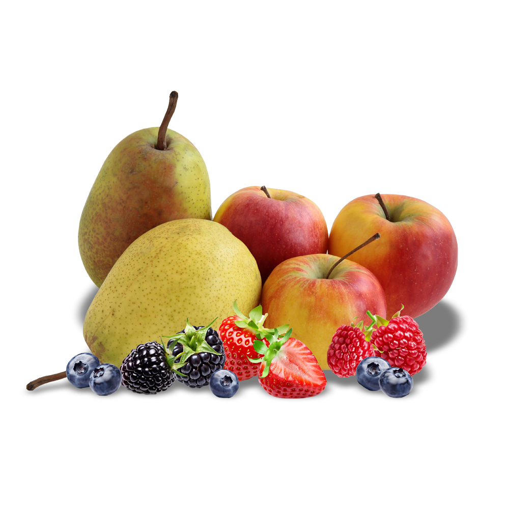 apples-pears-berries-group